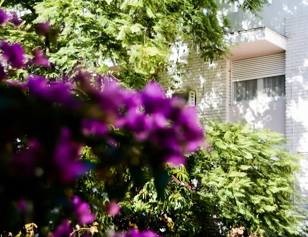 Hotel Nutibara Mendoza